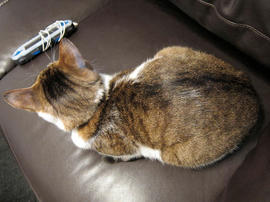 IMG01054.jpg