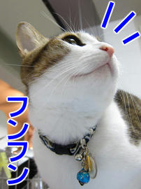 IMG01063.jpg