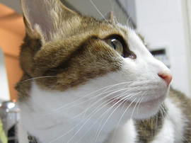 IMG01064.jpg