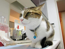IMG01056.jpg