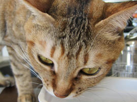 IMG01075.jpg