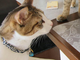 IMG01077.jpg