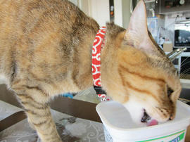 IMG01080.jpg