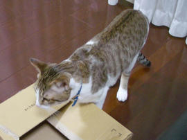 IMGP10337.jpg