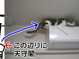IMGP13194.jpg