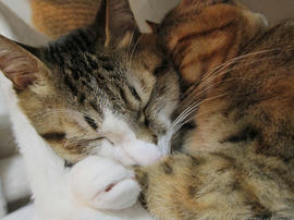 IMG01085.jpg