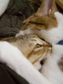 IMGP10358.jpg