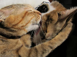 IMG01090.jpg