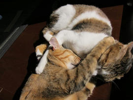 IMG01091.jpg