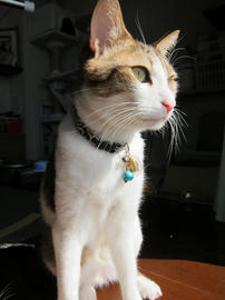 IMG01093.jpg