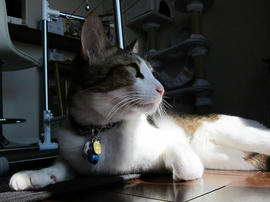 IMG01099.jpg