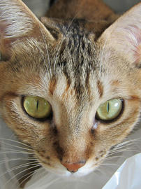 IMG01102.jpg