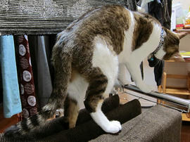 IMG01108.jpg