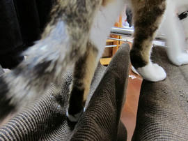 IMG01109.jpg
