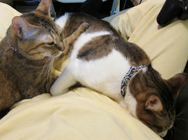 IMG01116.jpg