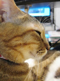 IMG01117.jpg