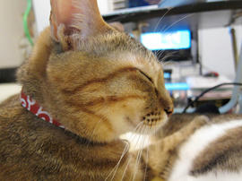 IMG01118.jpg