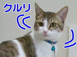 IMGP10421.jpg