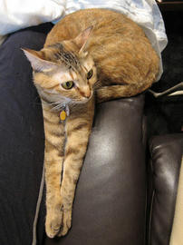 IMG01119.jpg