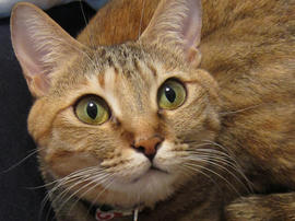 IMG01121.jpg
