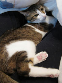 IMG01124.jpg