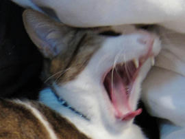 IMG01126.jpg