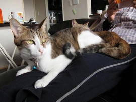 IMG01128.jpg