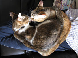 IMG01131.jpg