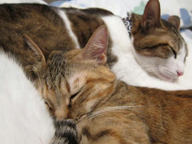 IMG01135.jpg