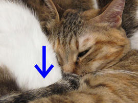 IMG01136.jpg