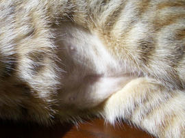 IMGP10426.jpg