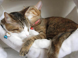 IMG01140.jpg