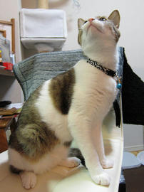 IMG01141.jpg