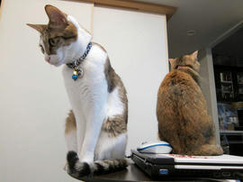 IMG01143.jpg