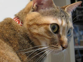 IMG01146.jpg