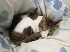IMG01149.jpg
