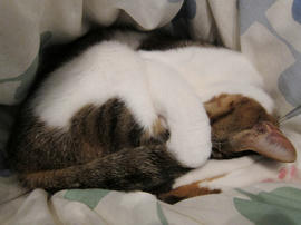 IMG01152.jpg