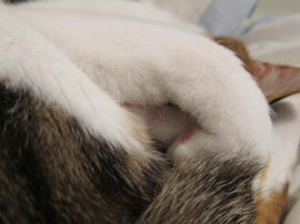 IMG01153.jpg