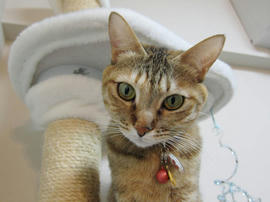 IMG01157.jpg
