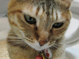 IMG01158.jpg