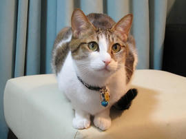 IMG01165.jpg