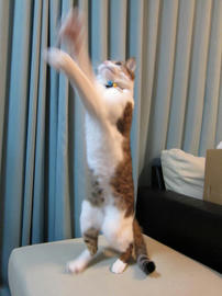 IMG01174.jpg