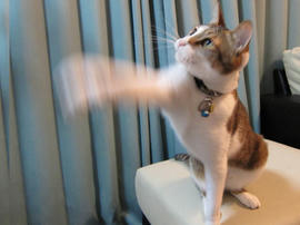 IMG01177.jpg
