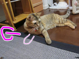 IMG01183.jpg