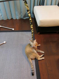 IMG01159.jpg