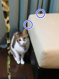 IMG01160.jpg