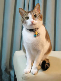IMG01167.jpg