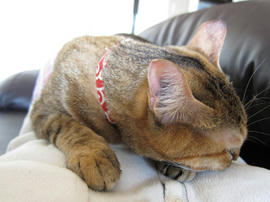 IMG01195.jpg