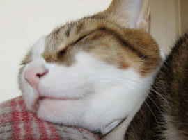 IMG01192.jpg