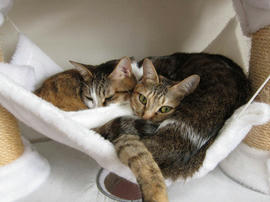IMG01197.jpg